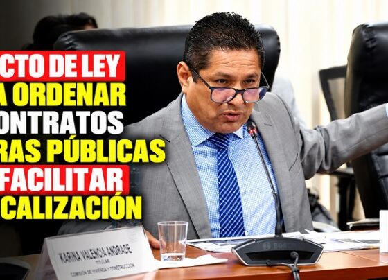 Proyecto de ley busca ordenar los contratos de obras públicas para facilitar su fiscalización